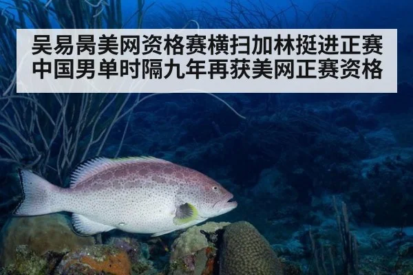 吴易昺美网资格赛横扫加林挺进正赛 中国男单时隔九年再获美网正赛资格